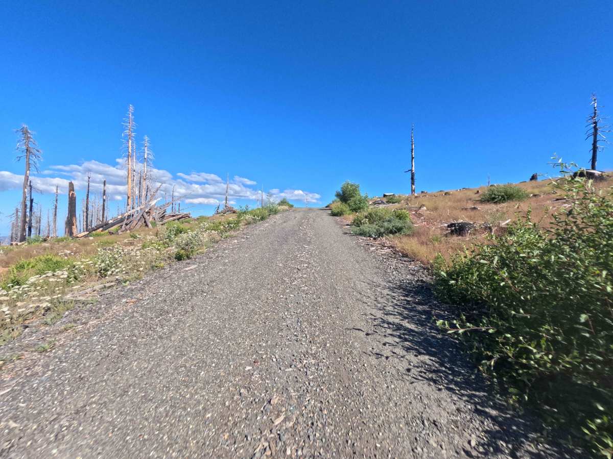 Boundary Road - FS 22N26 photo 5