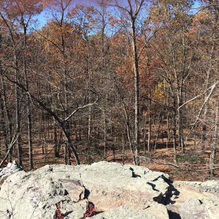 Near Blue Ridge Summit - Thurmont - Wolf Rock