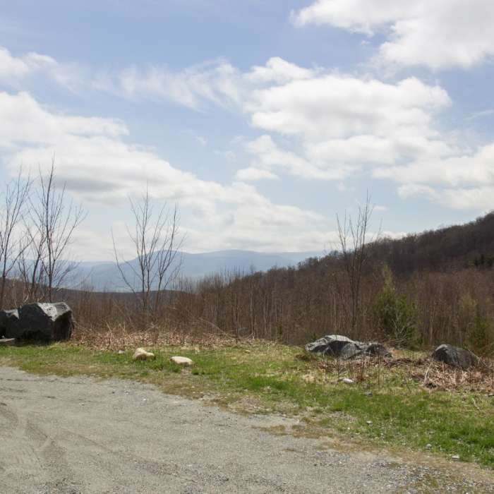 Near Snow Hole + Taconic Crest Trail