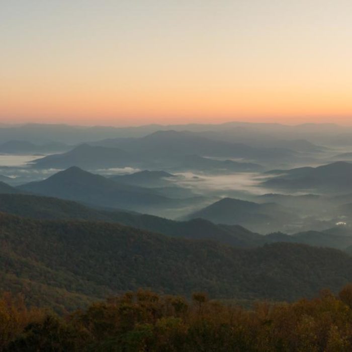 Near Brasstown Bald