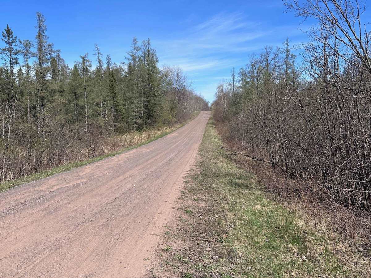 Tamarack River Forest Road photo 4