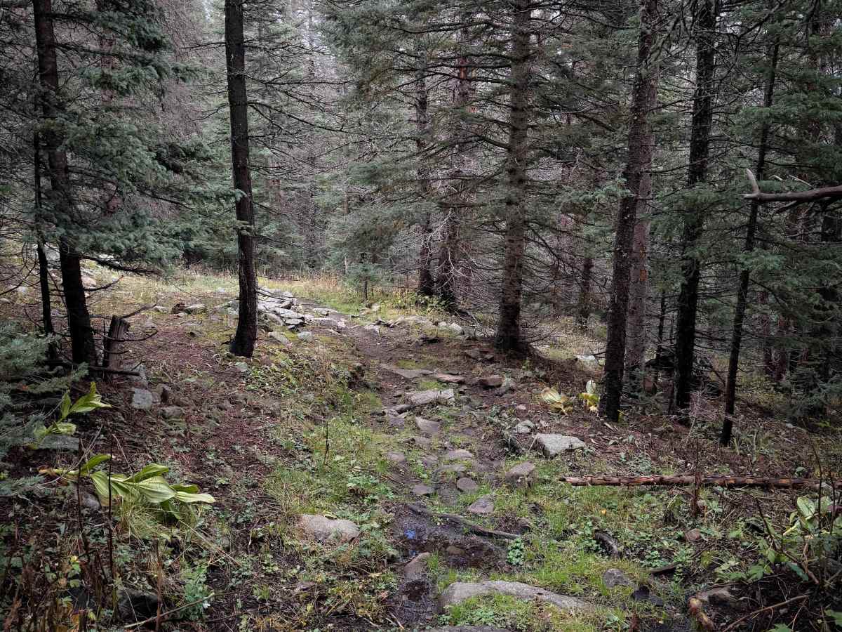 Comales Cutoff Trail  photo 5