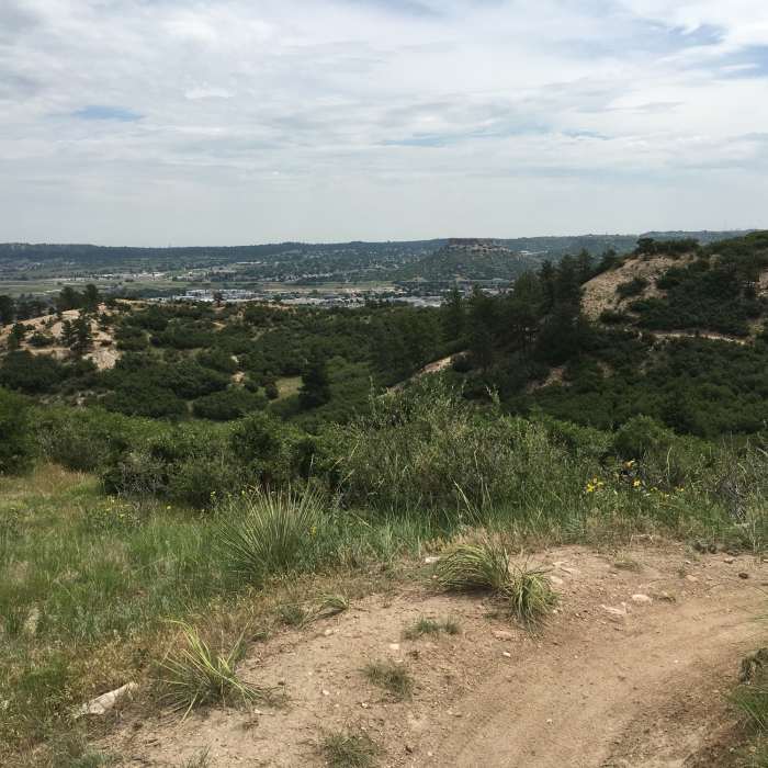 Near Gold Loop