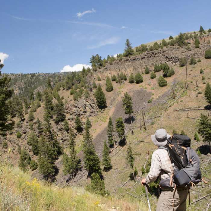 Near Black Canyon of the Yellowstone
