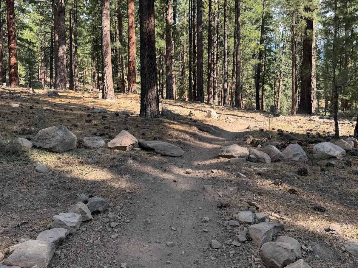 Beer Run Trail Upper trail photo