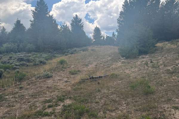Snyder Creek Loop - FS 1226.1 (Haney Draw Segment)