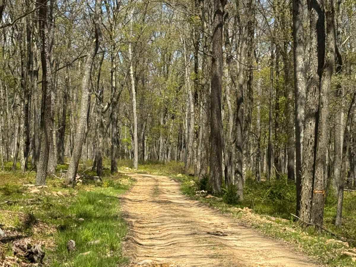Marks Run Road photo 2