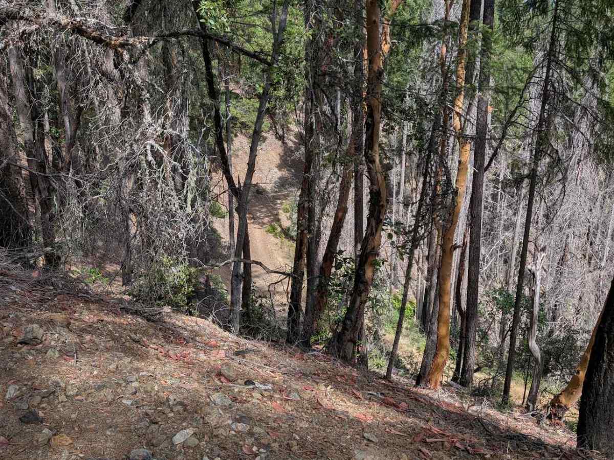 Steep Road - FS 3N01  photo 5
