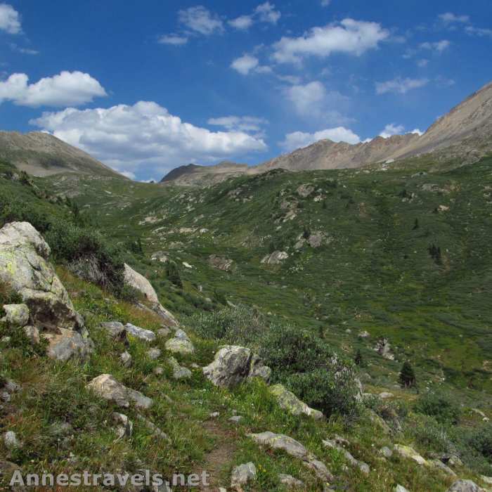 Near Linkins Lake Trail