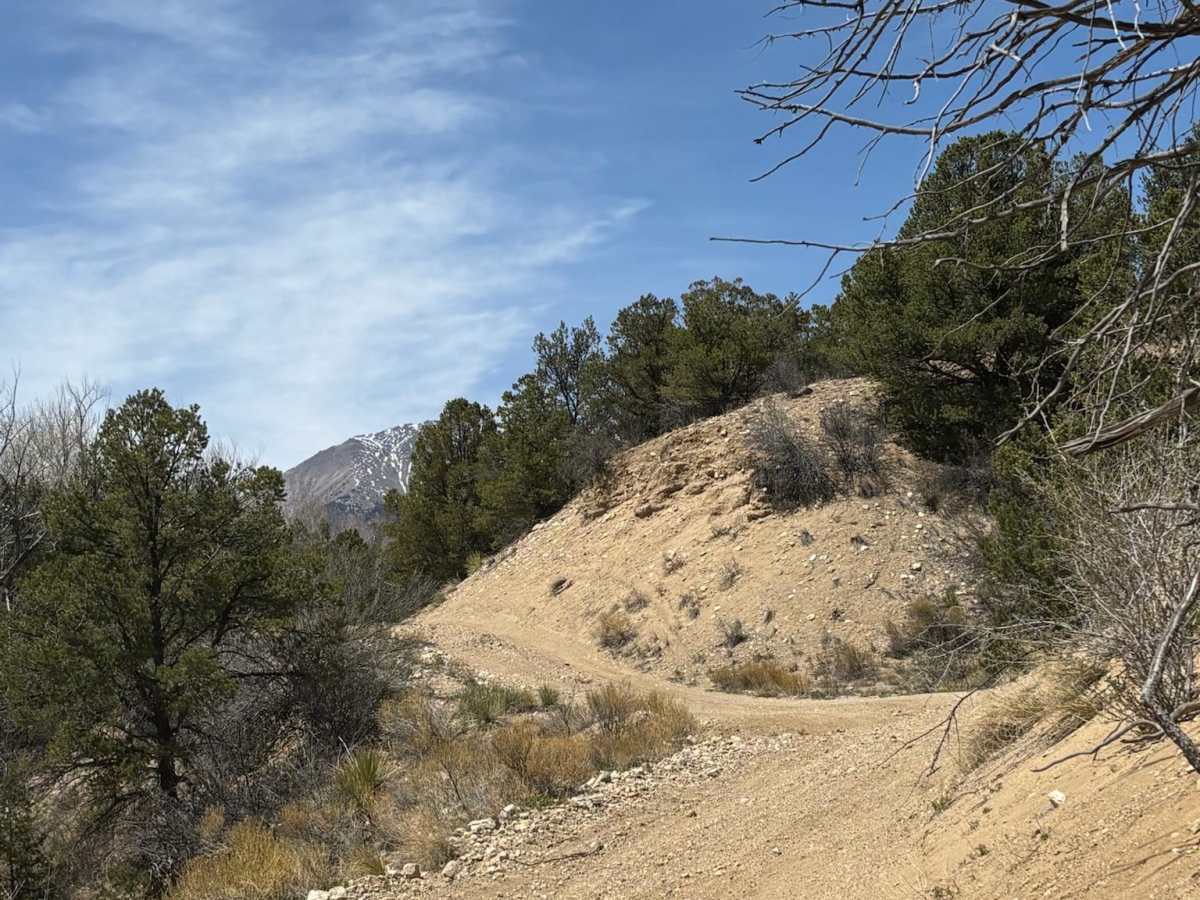 BLM 5630 photo 5