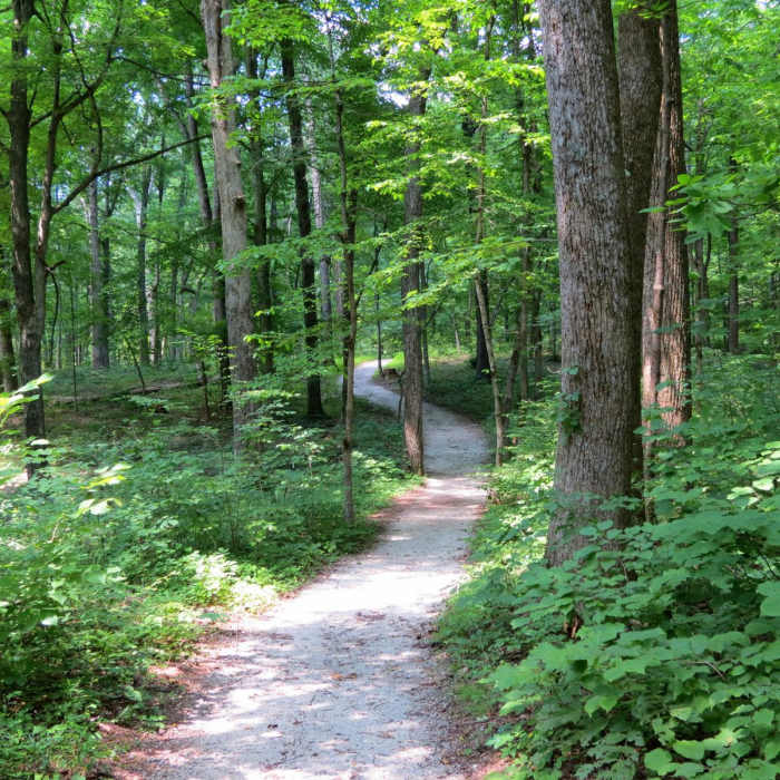 Near Green River Bluffs Trail Loop