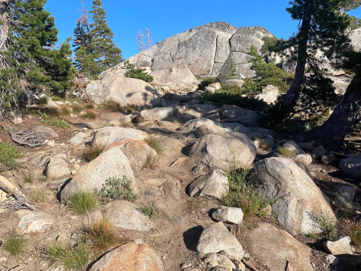 Buck Pasture Trail (West) photo 6