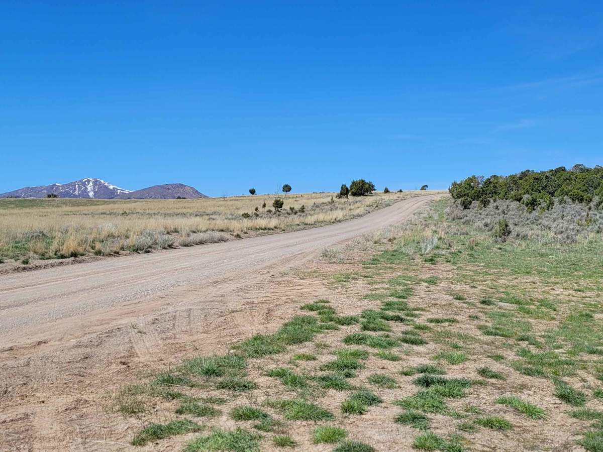 Hastings Cutoff Road photo 4