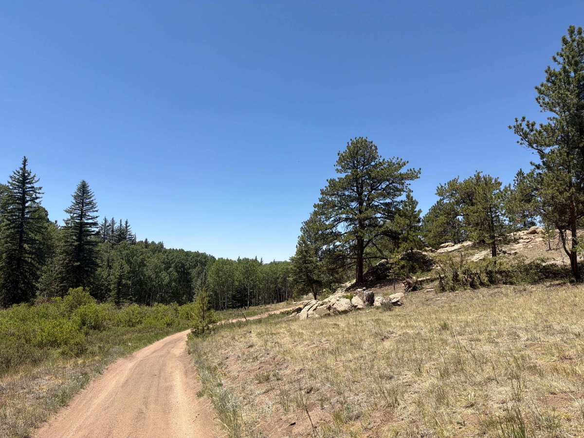 Burma Shave Road - FS 242 photo 4