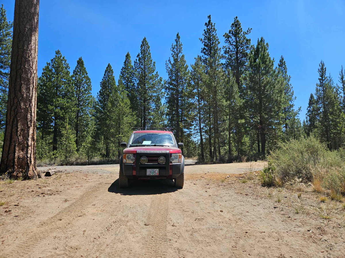 Tetherow Log Jam Road trail photo