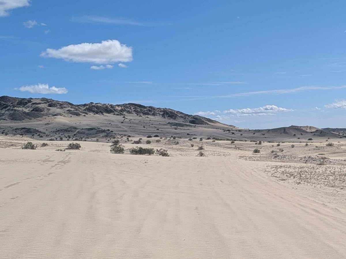 BLM 206 photo 6