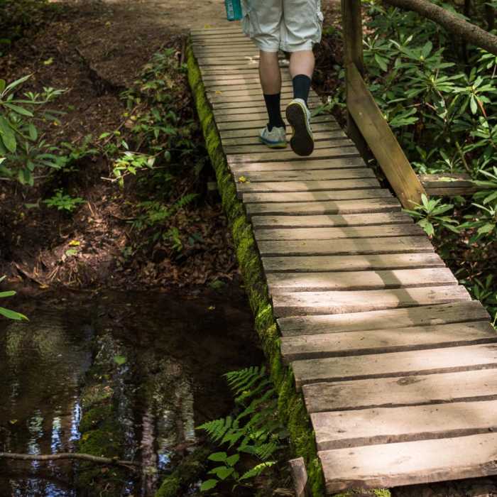 Near John Rock via Cat Gap Loop Near John Rock via Cat Gap Loop