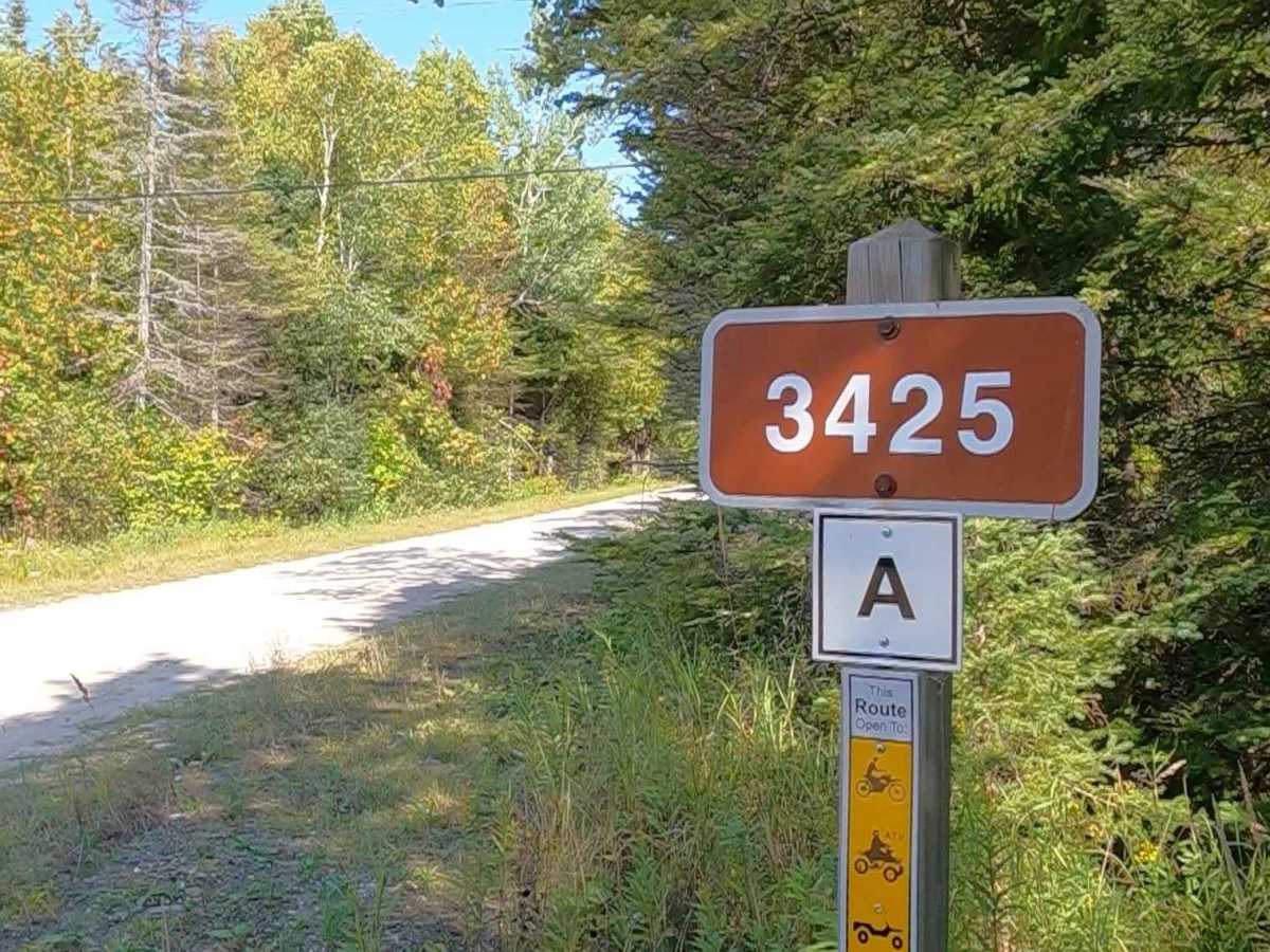 North Service Road - FS 3425 trail photo