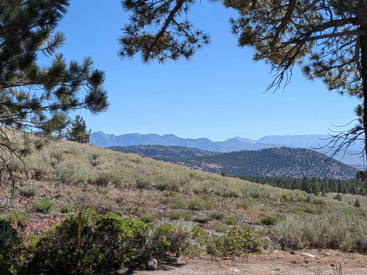 Sherwin Creek Road - FS 4S08 trail photo