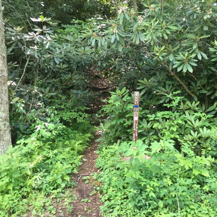 The beginning of Coon Den Trail. Near Coon Den Falls Trail