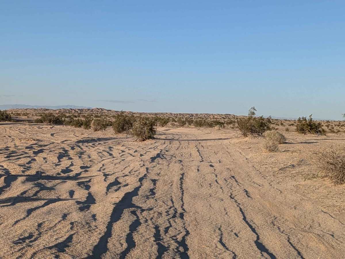 BLM 195 photo 5