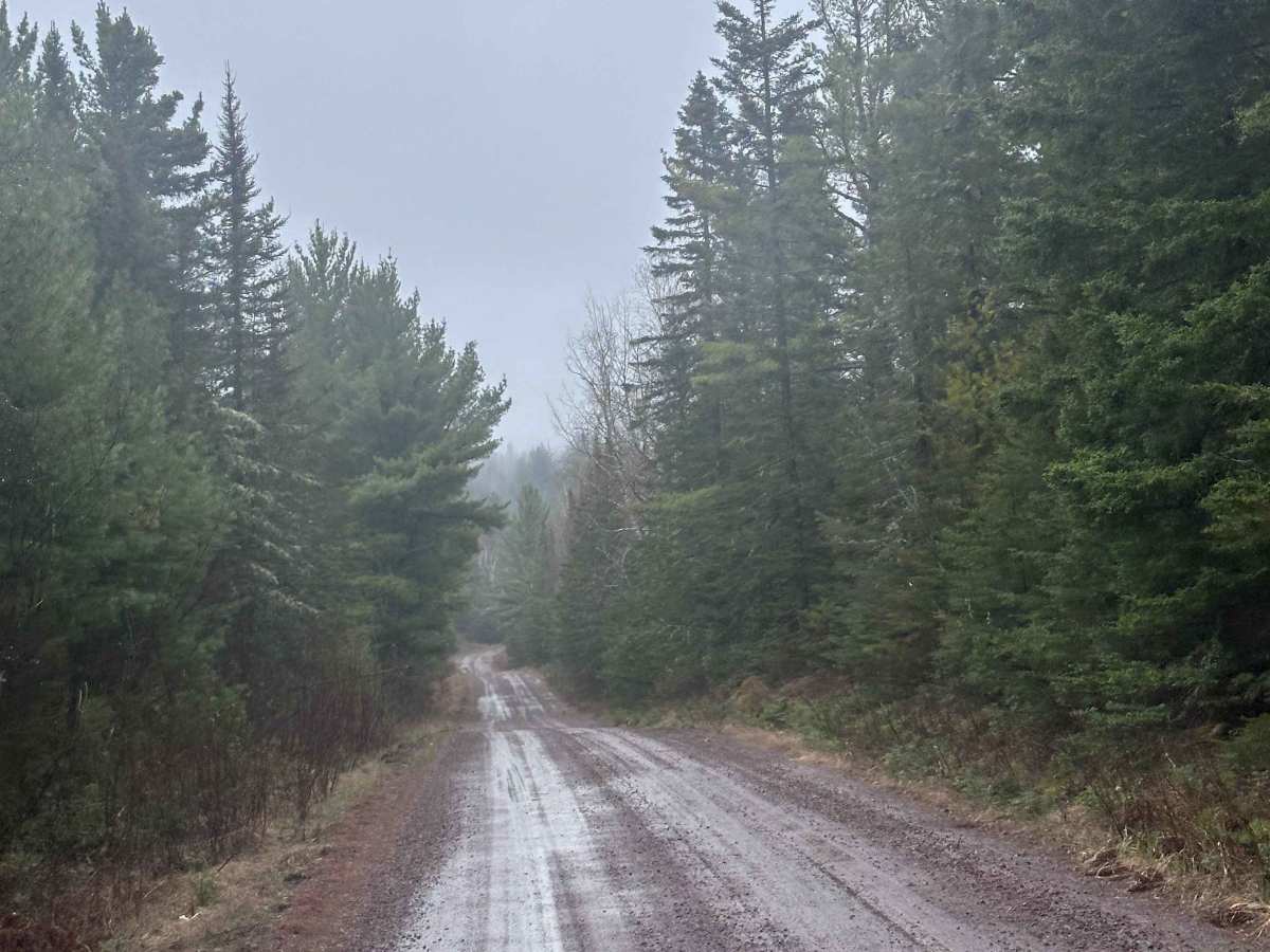 Pine Mountain Road photo 6