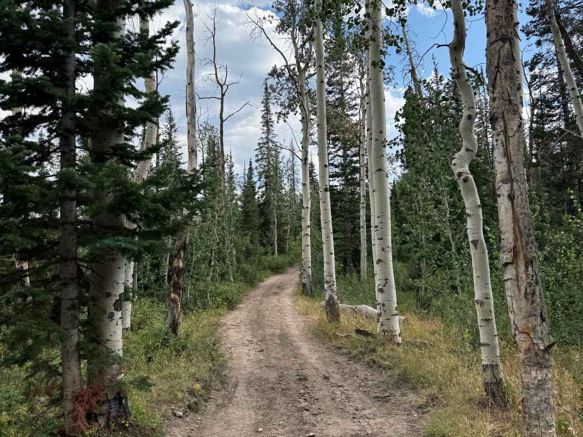 Long Draw Road photo 6