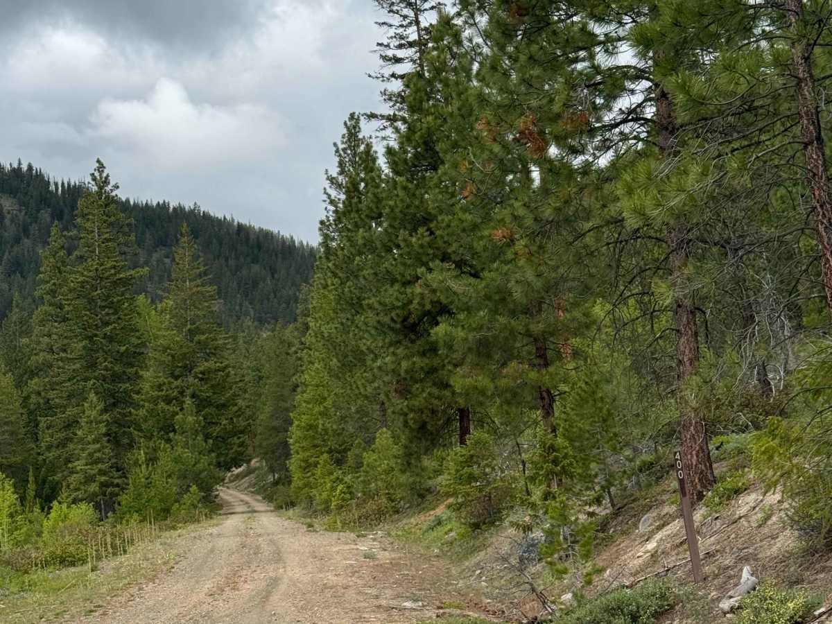 Gordon - FS 5009-400  trail photo