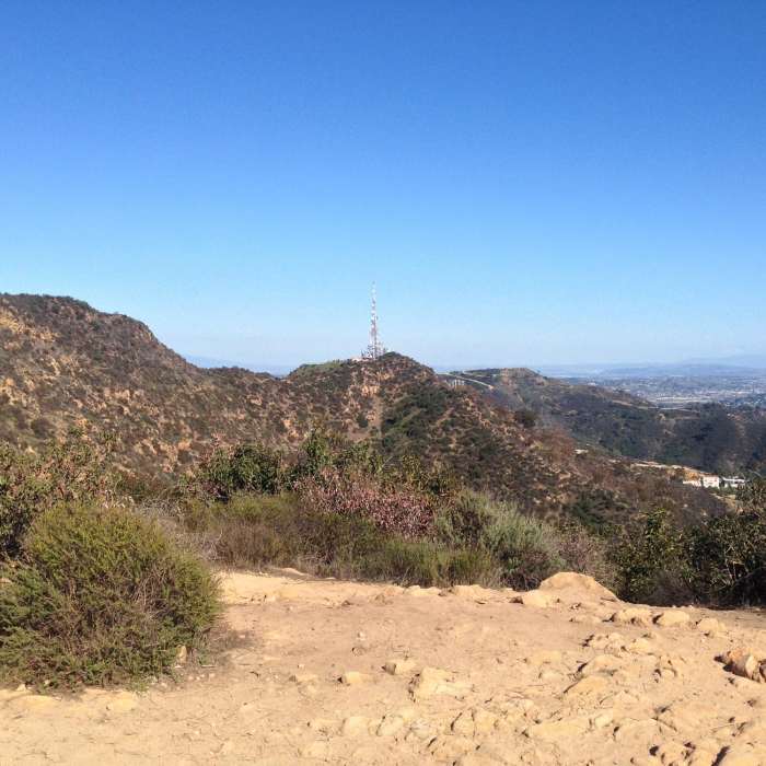Near Tree of Life Trail