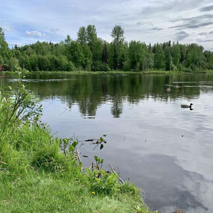 Near Chester Creek Trail