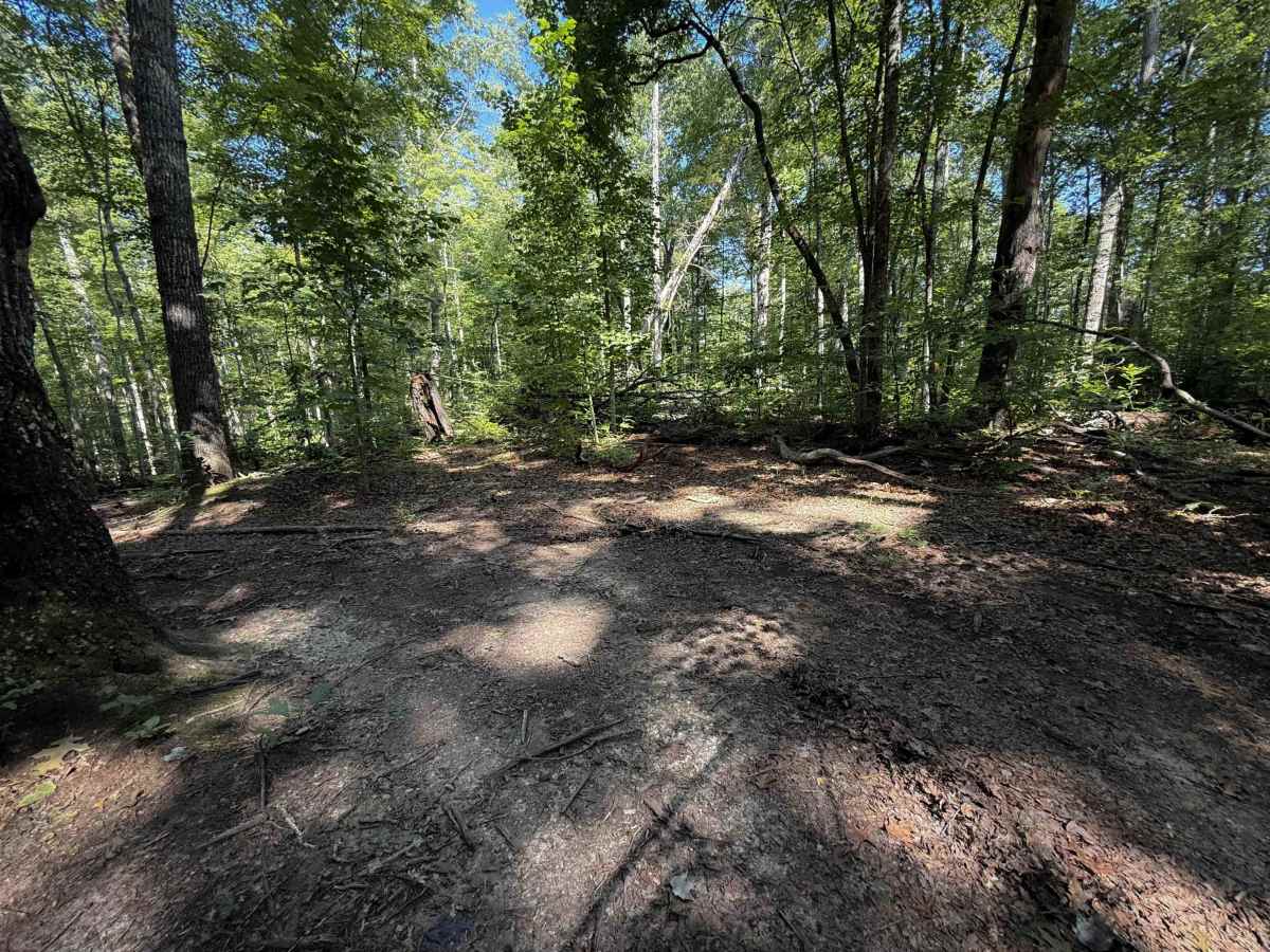 Ridge Top Trail 32  photo 5