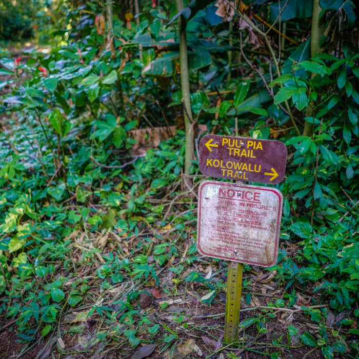 Near Waiakeakua Stream Near Waiakeakua Stream