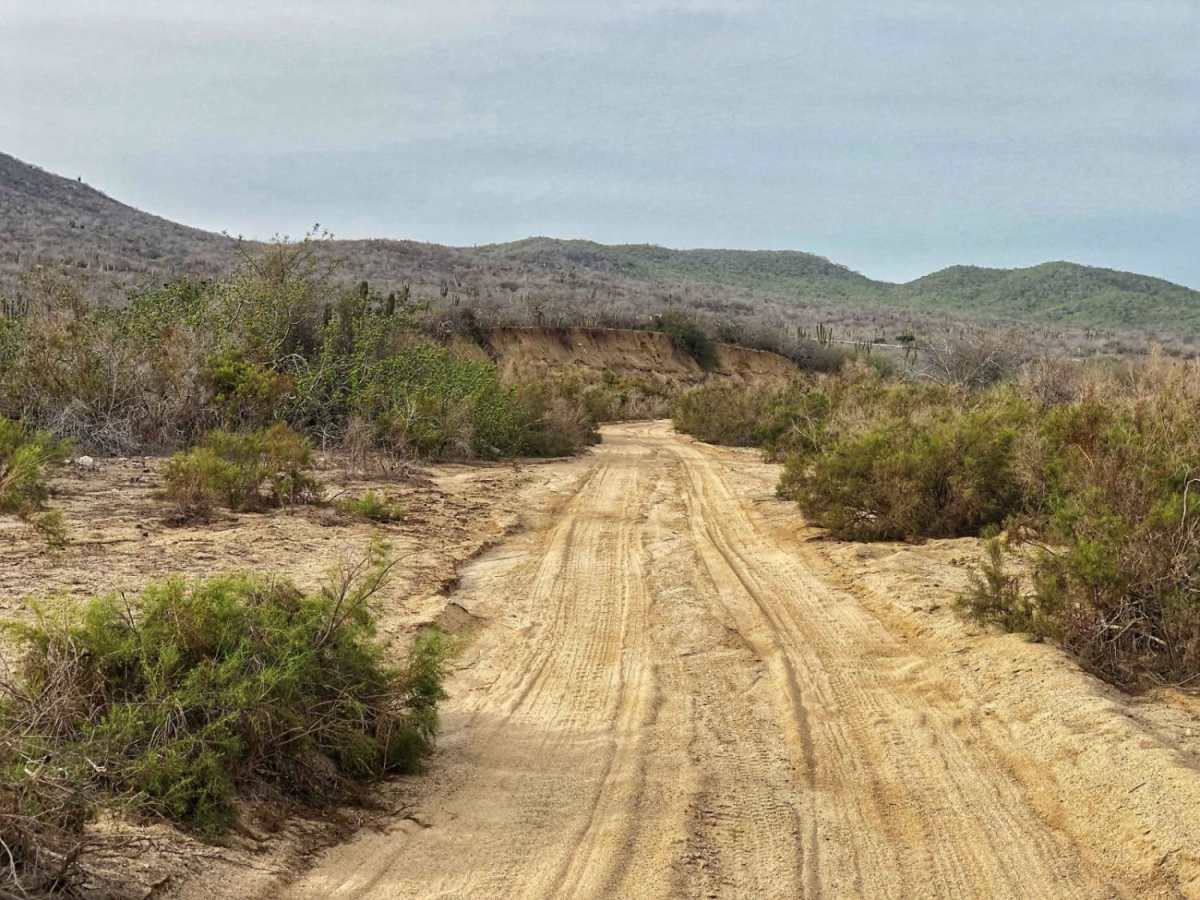 Camp Beach photo 6