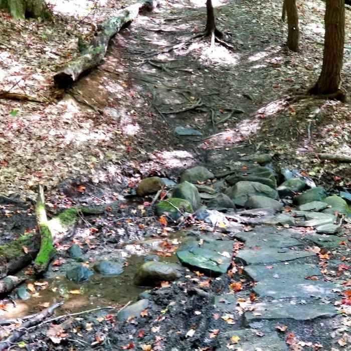 Stone crossing Near Sprague Brook Big Loop