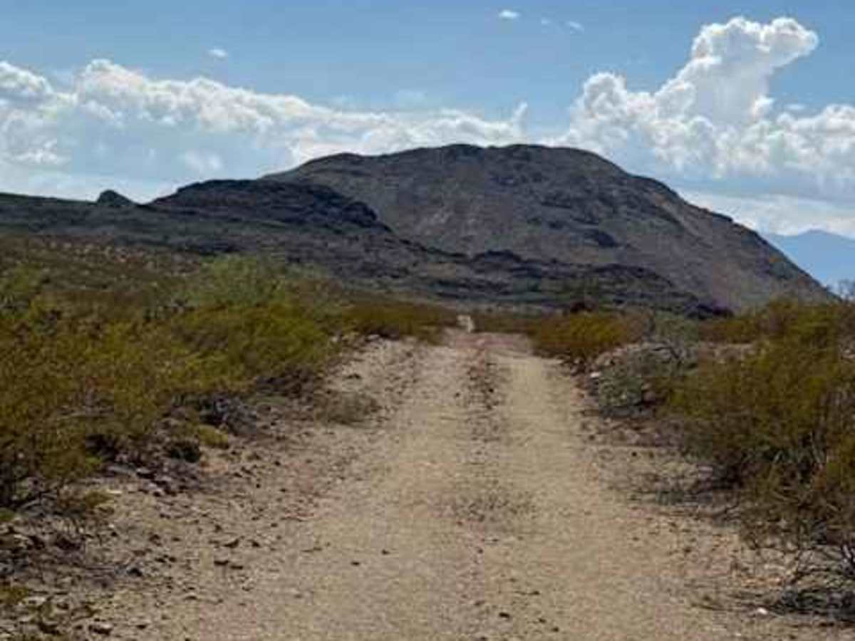 BLM PE1137 photo 6