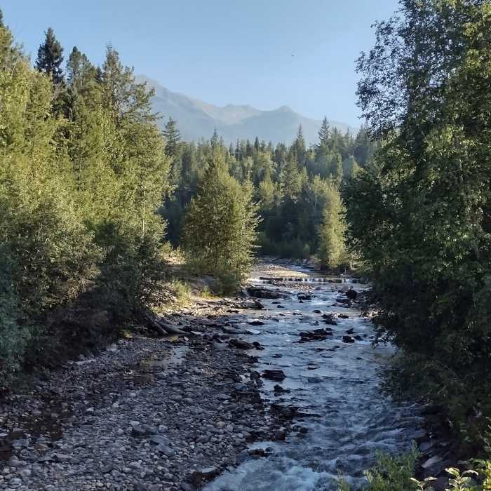 Near Swift Creek Lookout Hike