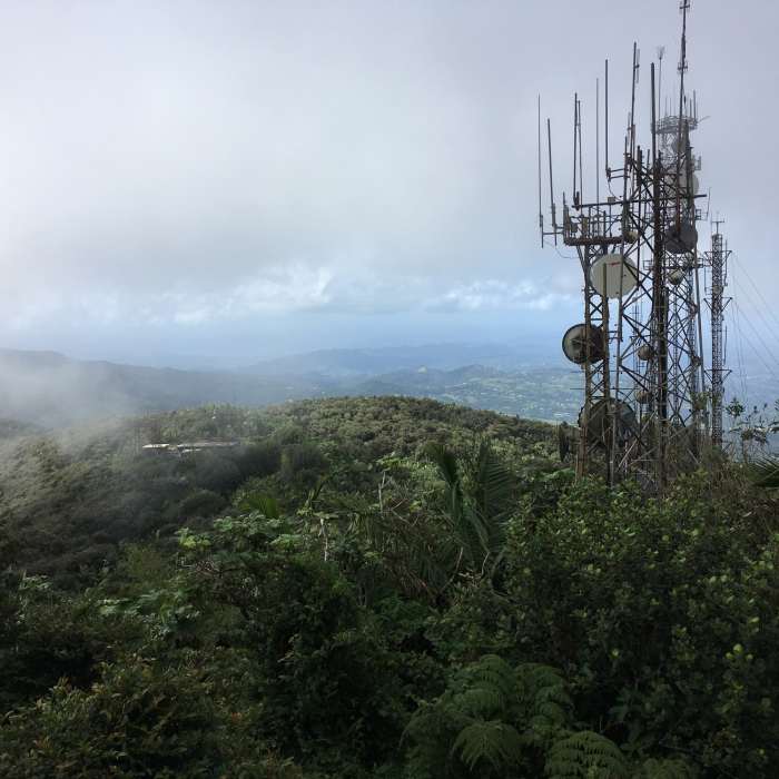 Near El Yunque Trail