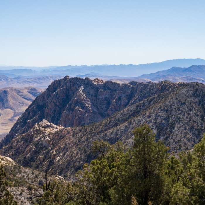 Near Mountain Spring Peak