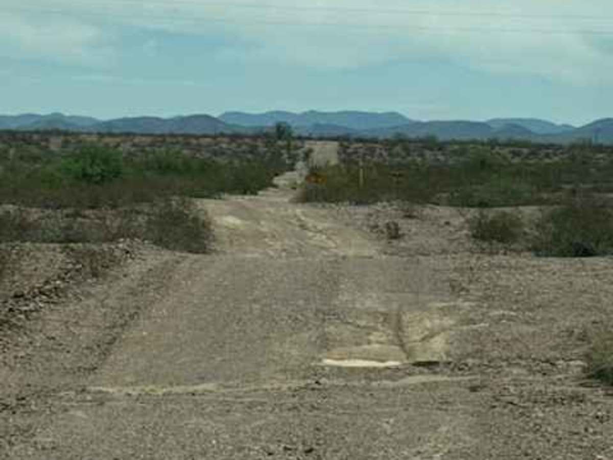 BLM SS1020 photo 4