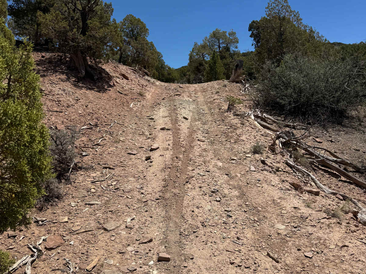 BLM 8477 photo 2