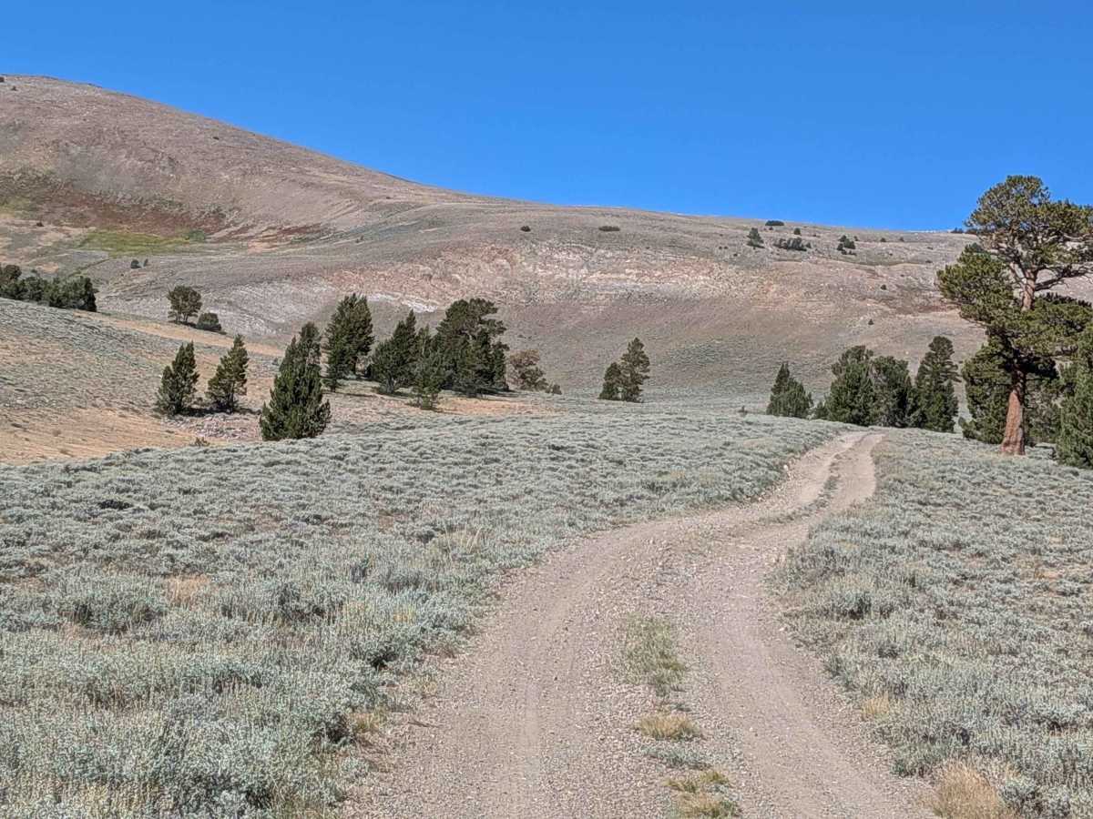 FS 31E303 trail photo