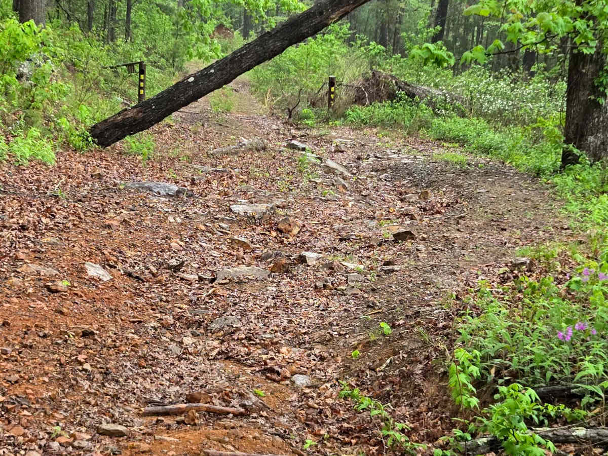 Burr Ridge trail photo