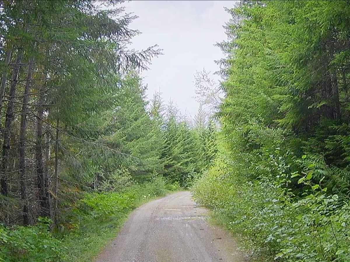 North Side Sauk River - FS 22 photo 6