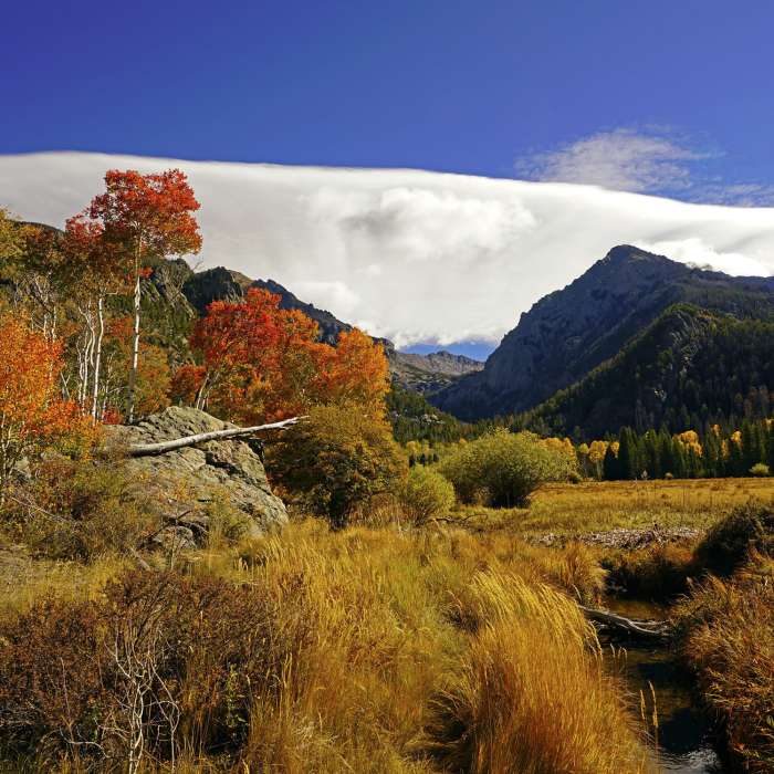 Near Willow Lake Trail
