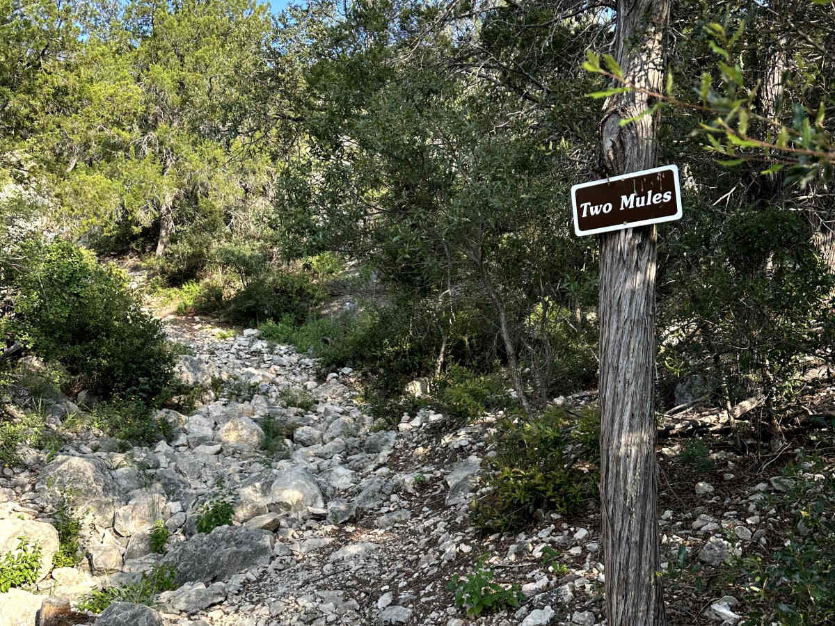 Two Mules - V15 trail photo