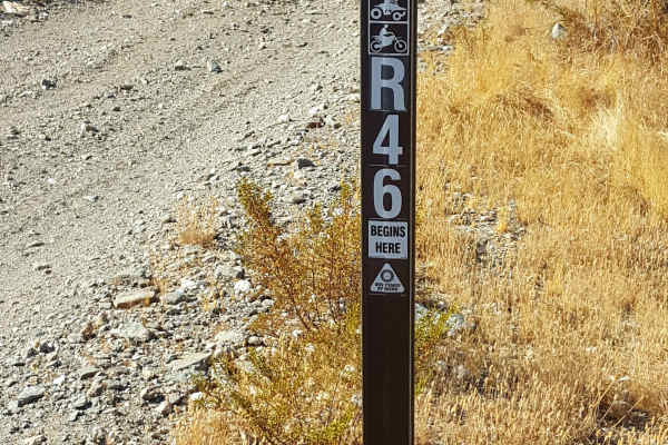 R46