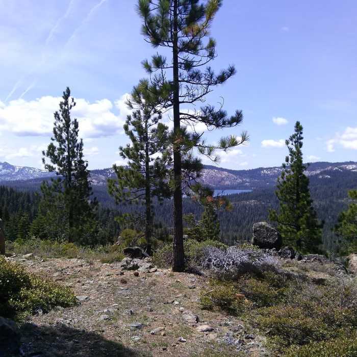 Near Upper Mills Peak Trail