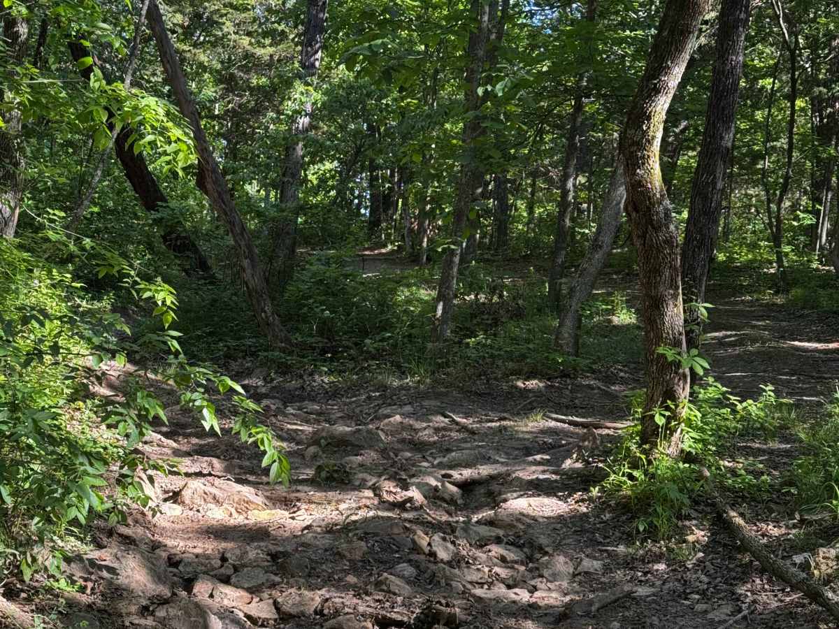 Bounty Hole Trail photo 2
