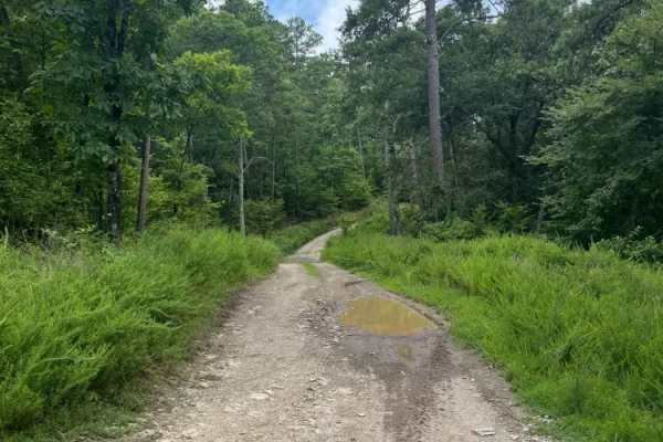 East High Peak Trail