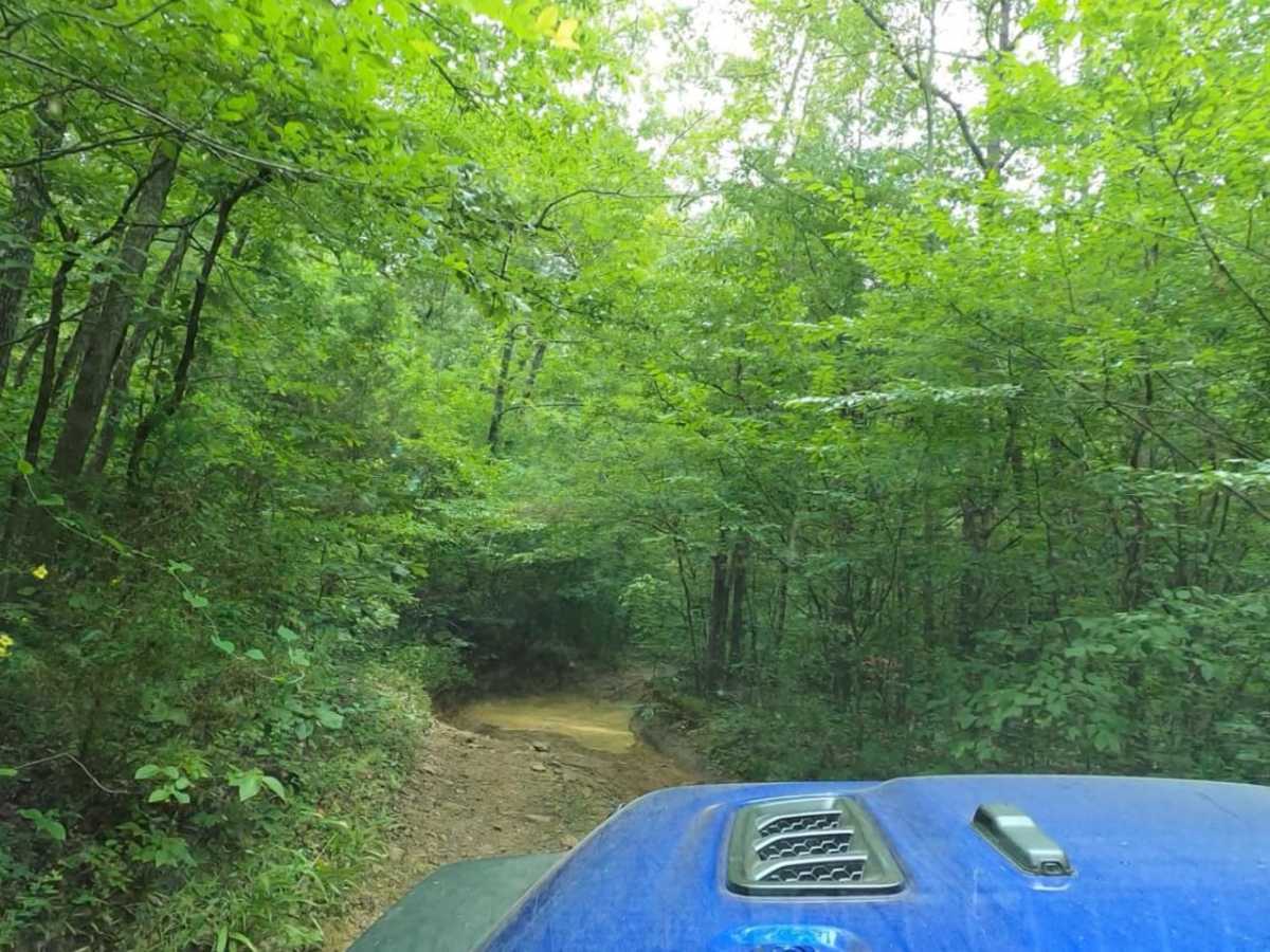 Frog Bayou trail photo